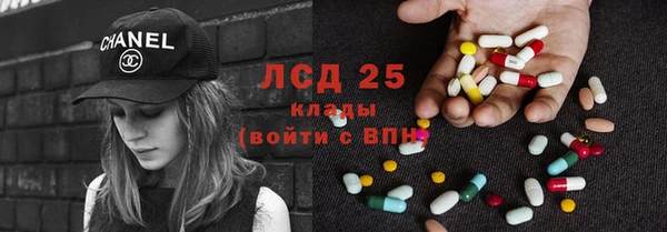 ПСИЛОЦИБИНОВЫЕ ГРИБЫ Алзамай